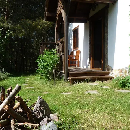 Holiday home W Sosnowym Lesie