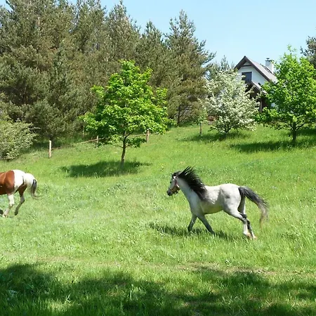 W Sosnowym Lesie Holiday home Sulicice