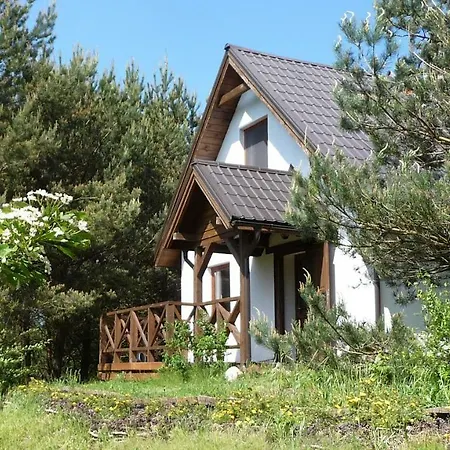 Holiday home W Sosnowym Lesie