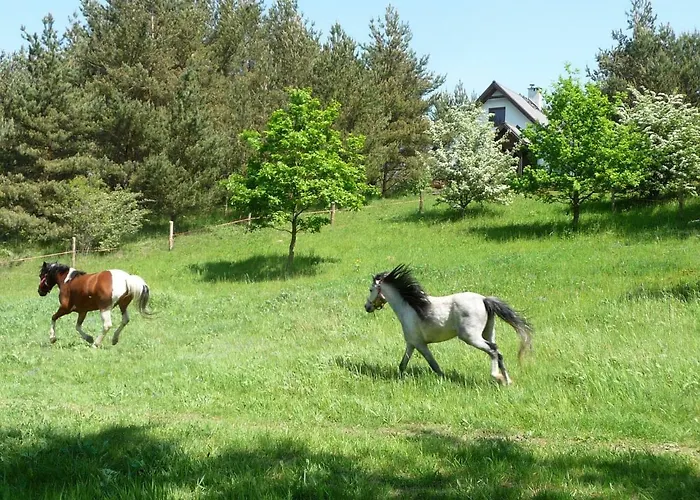 W Sosnowym Lesie Сasa de vacaciones Sulicice